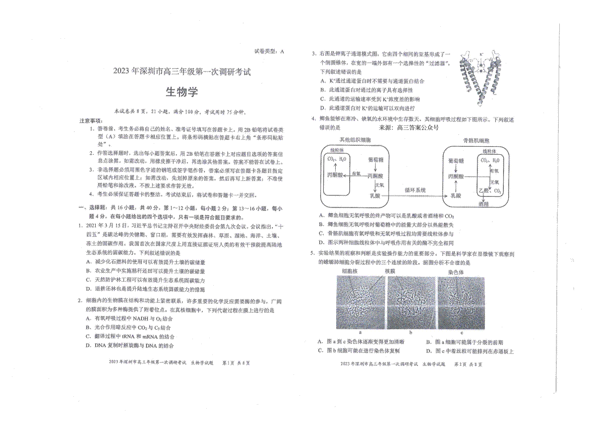 2023 年深圳市高三年级第一次调研考试 2023年2月深圳一模生物试卷