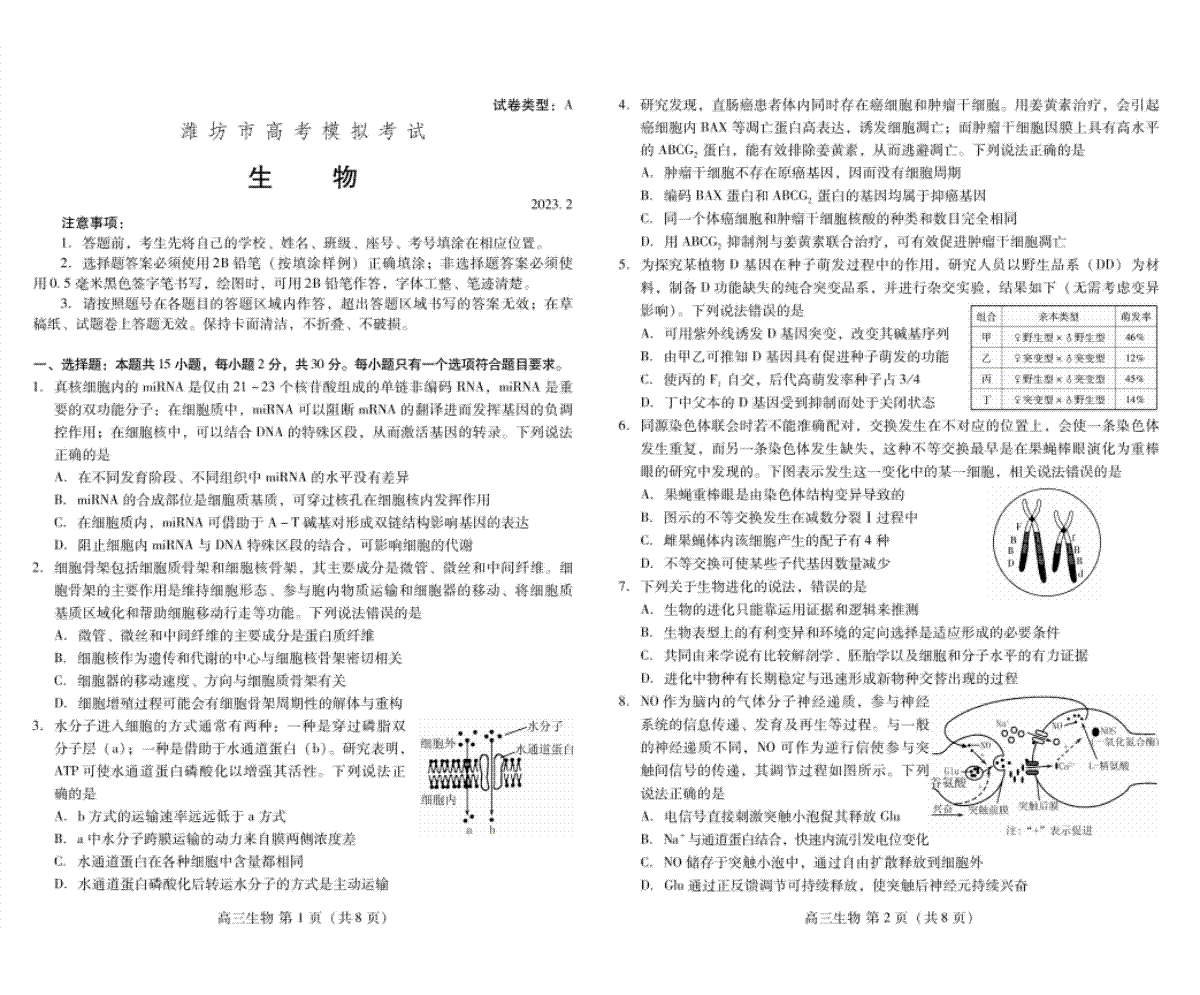 2023山东潍坊市高三下学期高三一模生物试题