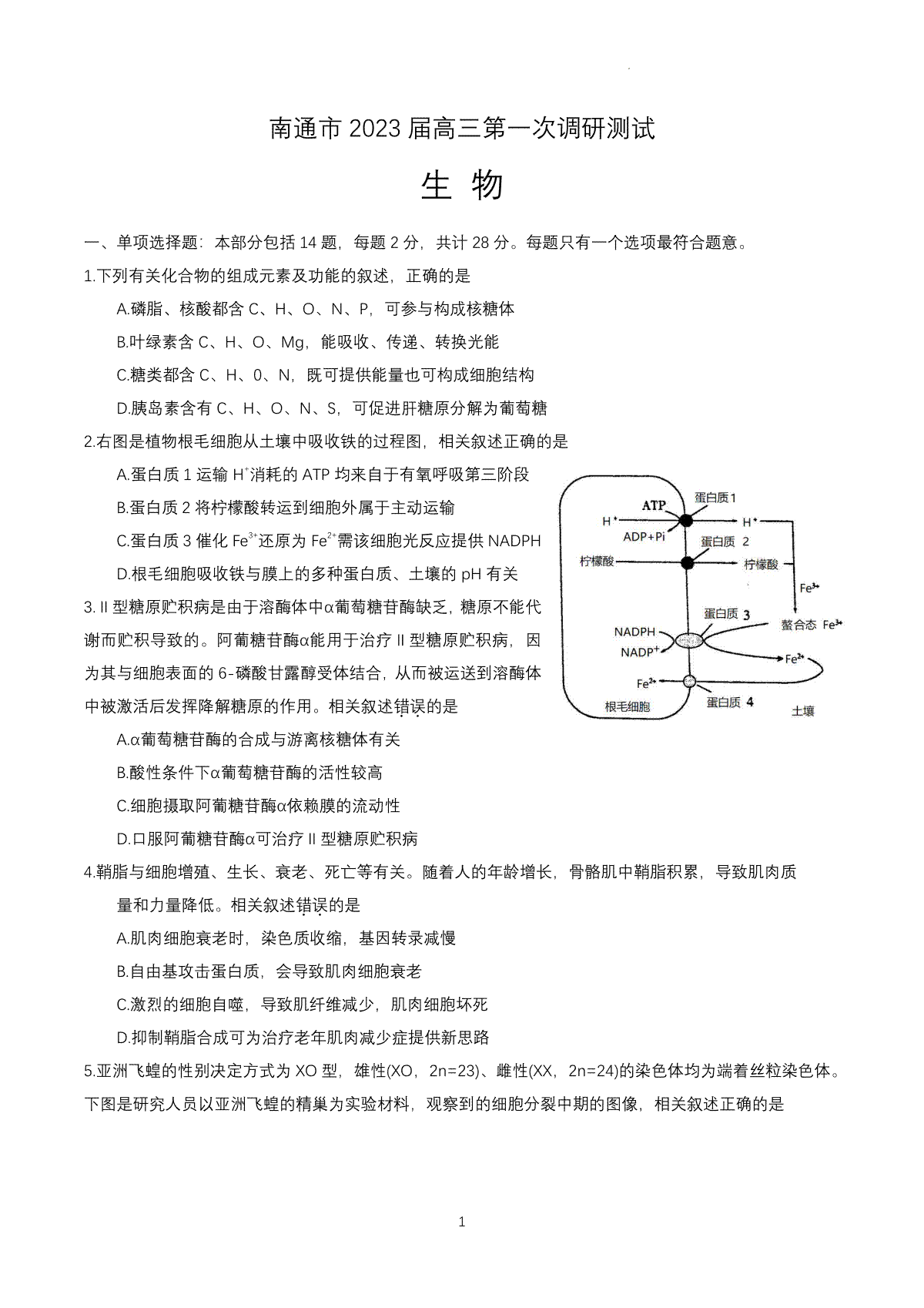 2003南通高三一调生物试题参考答案及解析