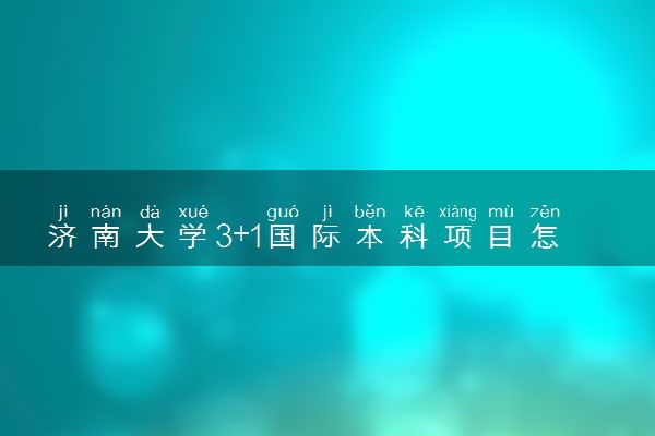 济南大学3+1国际本科项目怎么样？