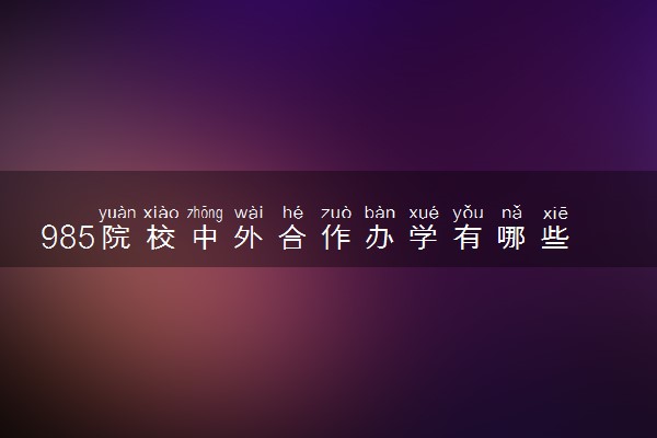 985院校中外合作办学有哪些 有什么推荐