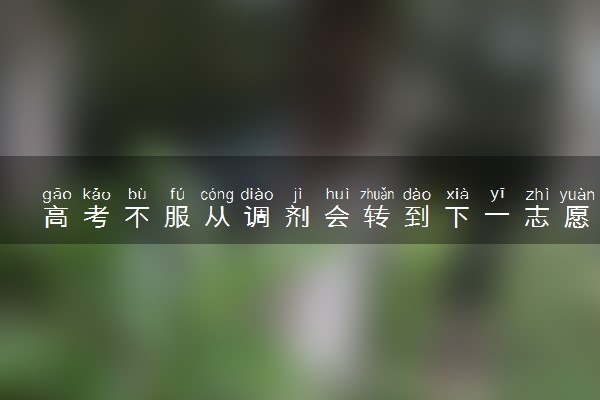 高考不服从调剂会转到下一志愿吗 调剂有何利弊