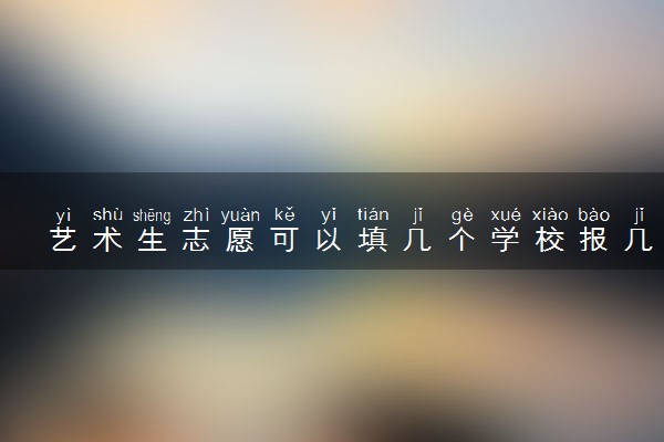 艺术生志愿可以填几个学校报几个志愿 有什么技巧