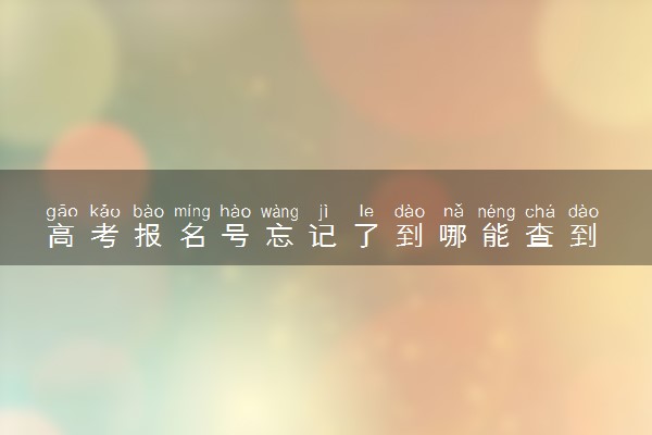 高考报名号忘记了到哪能查到 怎么找回