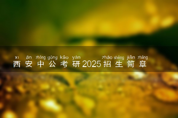 西安中公考研2025招生简章