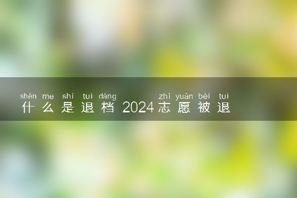 什么是退档 2024志愿被退档以后怎么办