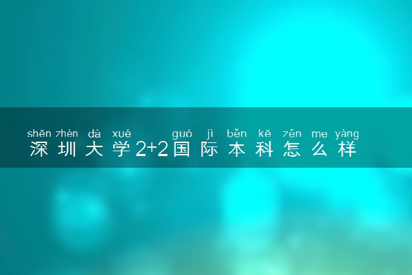 深圳大学2+2国际本科怎么样 如何招生