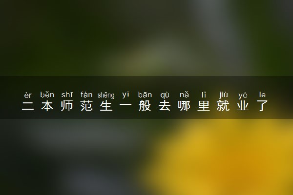 二本师范生一般去哪里就业了 就业前景好吗