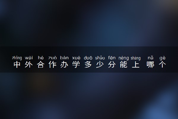 中外合作办学多少分能上 哪个学校好