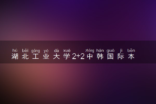 湖北工业大学2+2中韩国际本科班专业 招生人数