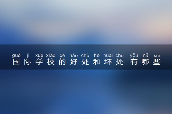 国际学校的好处和坏处 有哪些优缺点