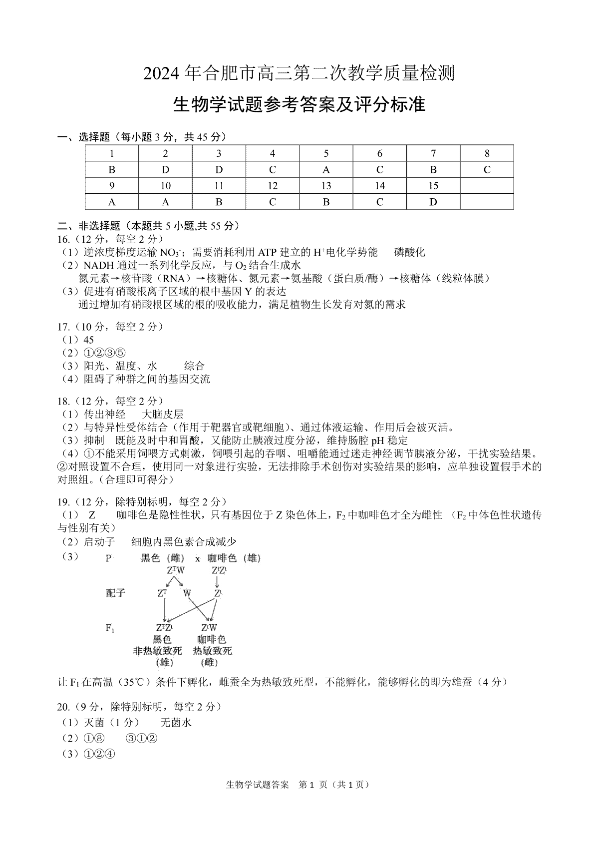 2024年4月合肥二模数学生物学参考答案