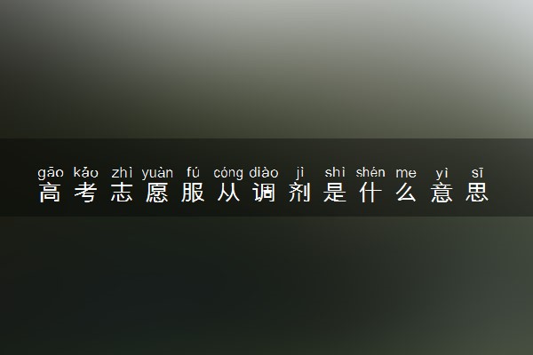 高考志愿服从调剂是什么意思 2024要不要服从调剂