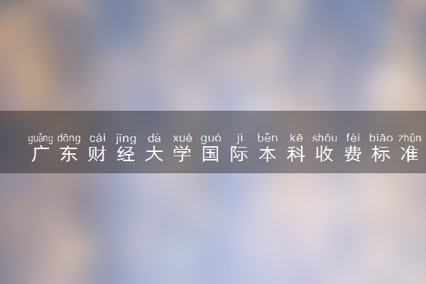 广东财经大学国际本科收费标准 一年多少钱