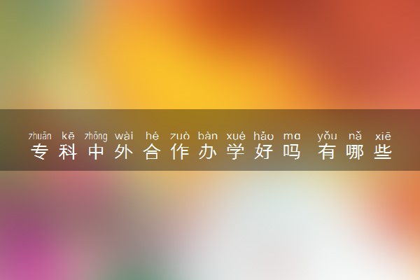 专科中外合作办学好吗 有哪些优点和缺点