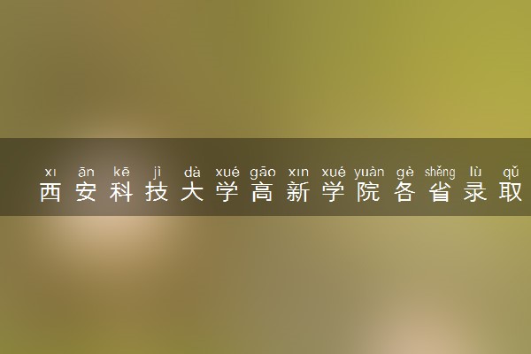 西安科技大学高新学院各省录取分数线及位次 投档最低分是多少(2024年高考参考)