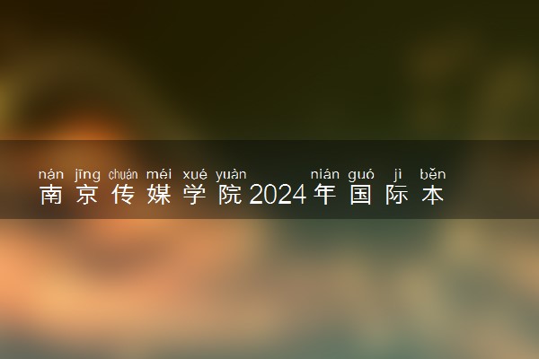 南京传媒学院2024年国际本科招生简章