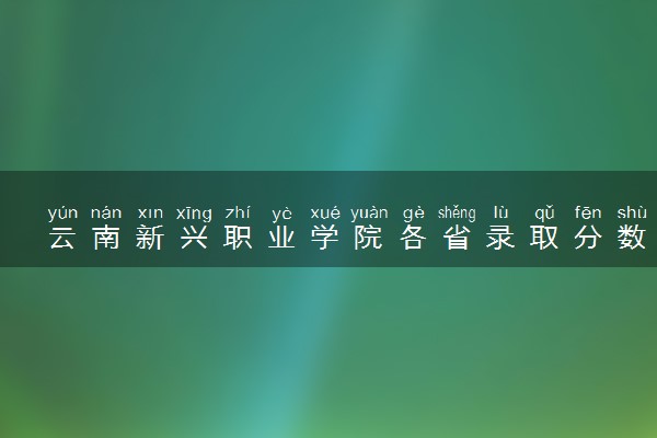云南新兴职业学院各省录取分数线及位次 投档最低分是多少(2024年高考参考)