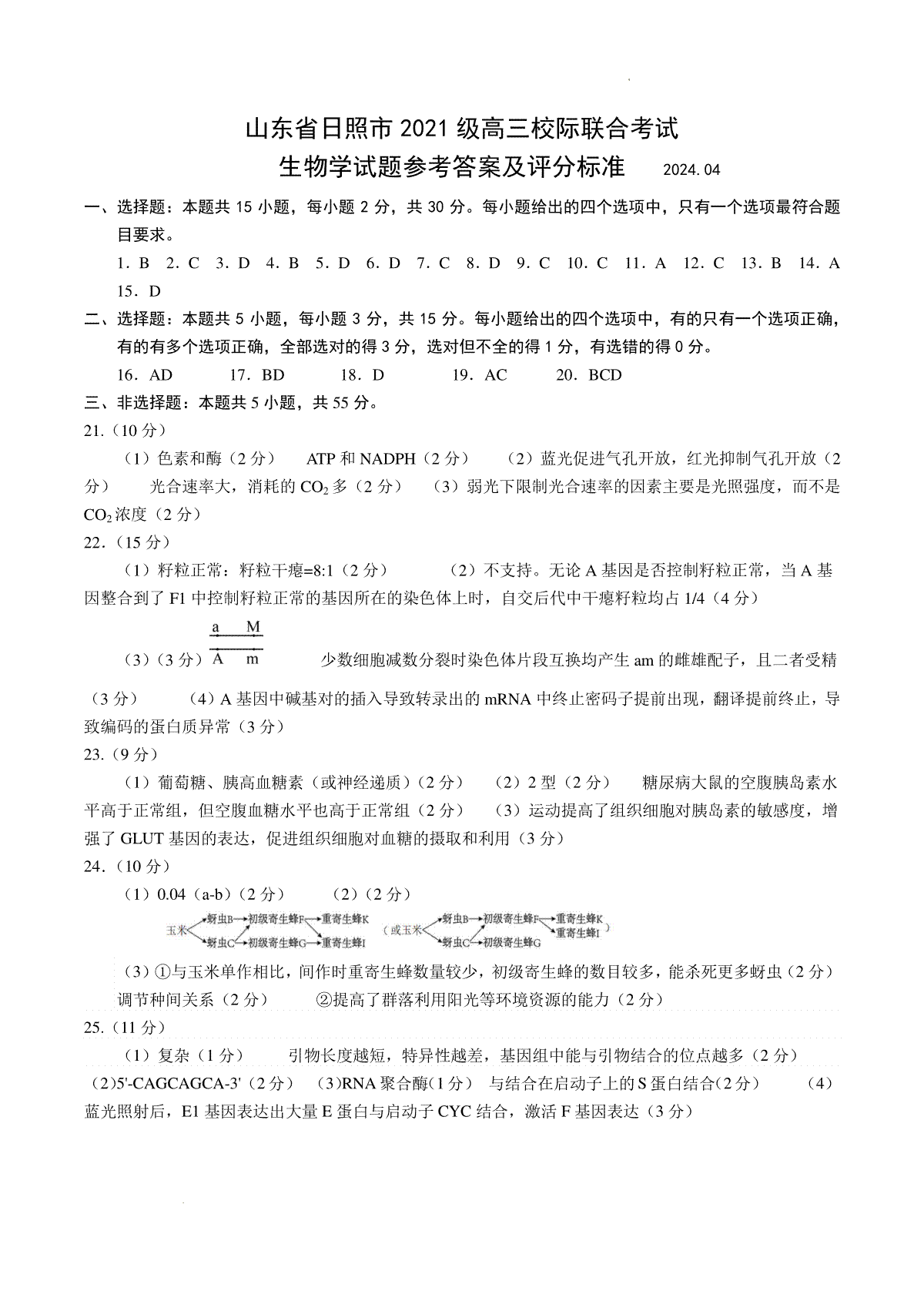 2024届山东省日照市高三二模生物参考答案