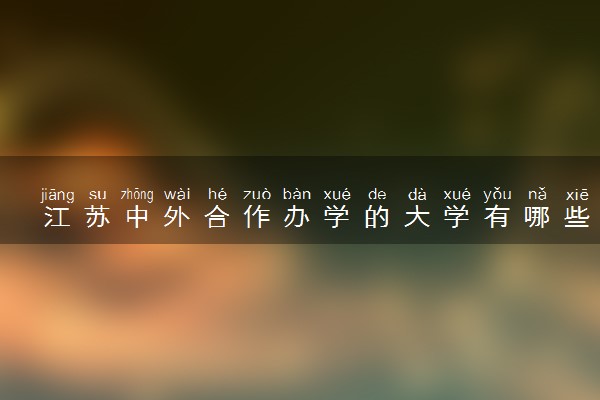 江苏中外合作办学的大学有哪些学校