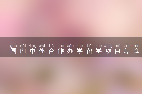 国内中外合作办学留学项目怎么招生