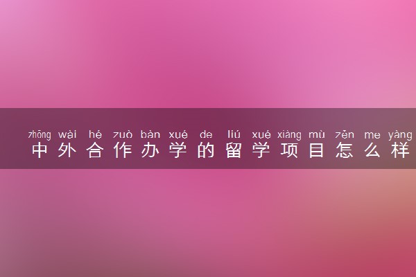 中外合作办学的留学项目怎么样