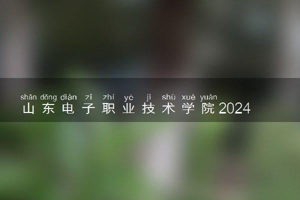 山东电子职业技术学院2024年录取分数线 各专业录取最低分及位次