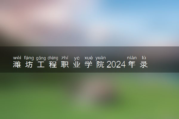 潍坊工程职业学院2024年录取分数线 各专业录取最低分及位次