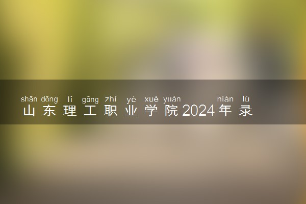 山东理工职业学院2024年录取分数线 各专业录取最低分及位次