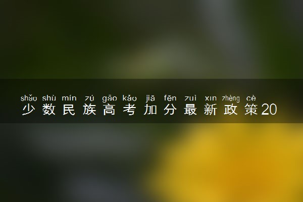 少数民族高考加分最新政策2024 能加多少分