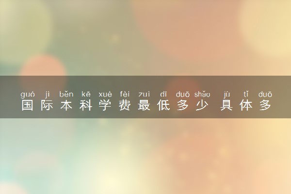 国际本科学费最低多少 具体多少钱