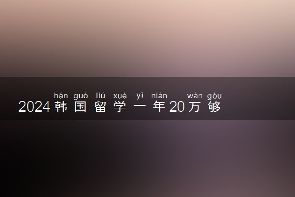 2024韩国留学一年20万够吗 回国不受欢迎是真的吗