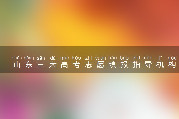 山东三大高考志愿填报指导机构