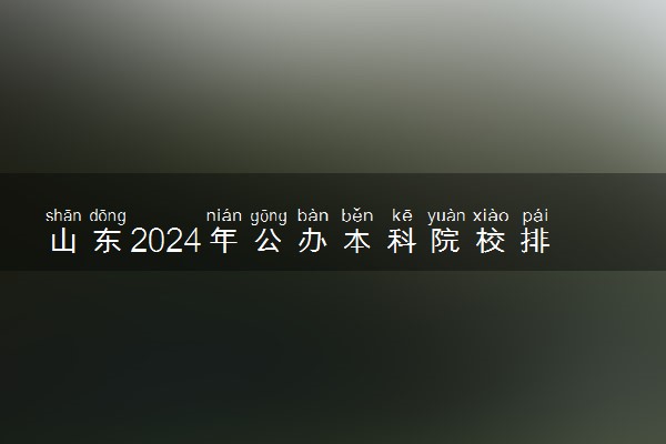 山东2024年公办本科院校排行榜 最好的大学名单