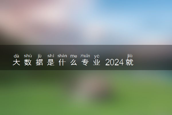 大数据是什么专业 2024就业前景怎么样