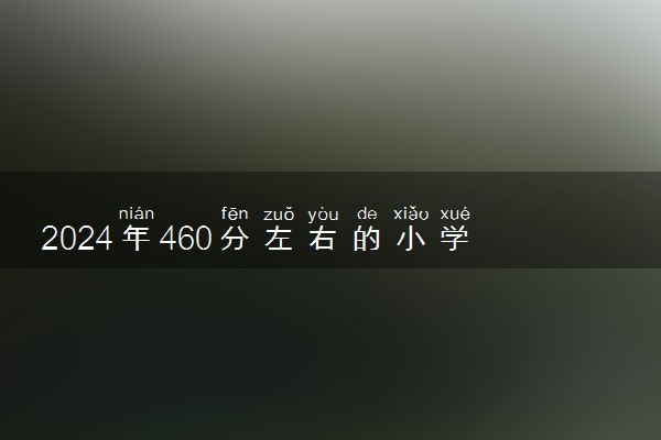 2024年460分左右的小学教育大学 可以报哪些院校