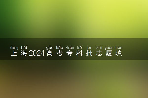 上海2024高考专科批志愿填报时间 哪天开始填报