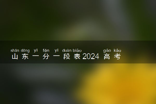 山东一分一段表2024 高考成绩最新排名位次【综合】