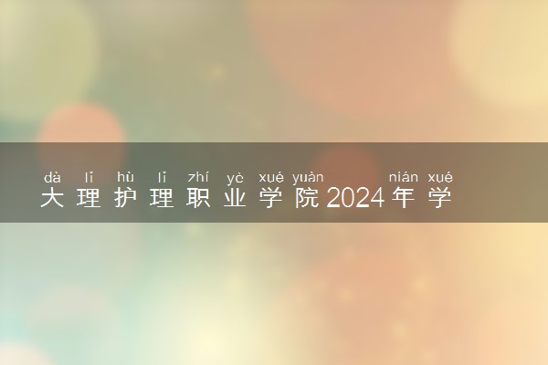 大理护理职业学院2024年学费多少钱 一年各专业收费标准