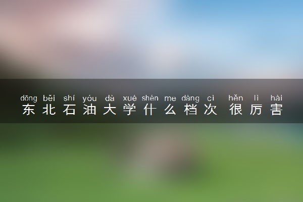 东北石油大学什么档次 很厉害吗