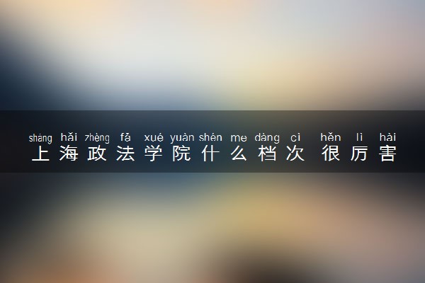 上海政法学院什么档次 很厉害吗