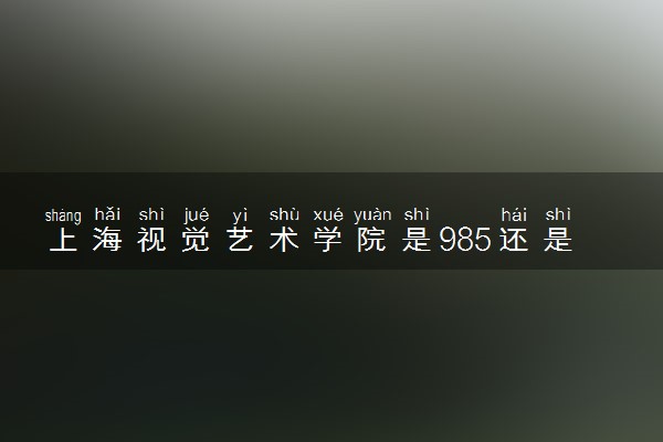 上海视觉艺术学院是985还是211 录取分数线是多少
