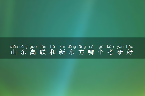 山东高联和新东方哪个考研好