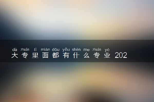 大专里面都有什么专业 2024哪些专业吃香