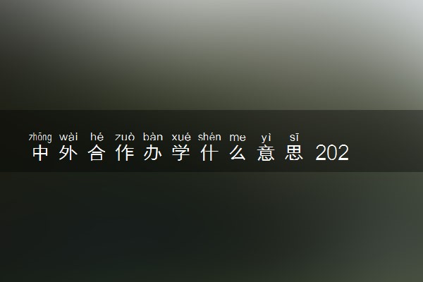 中外合作办学什么意思 2024年是要出国吗
