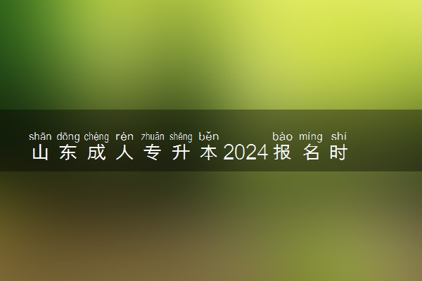 山东成人专升本2024报名时间