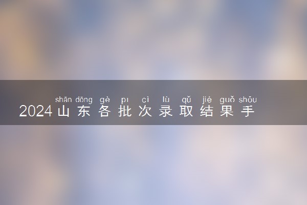 2024山东各批次录取结果手机端查询入口 具体查询步骤