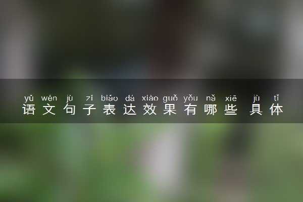 语文句子表达效果有哪些 具体都有什么