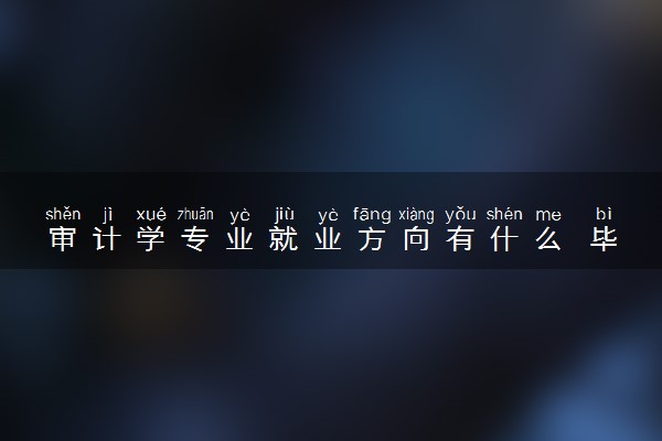 审计学专业就业方向有什么 毕业后有哪些出路