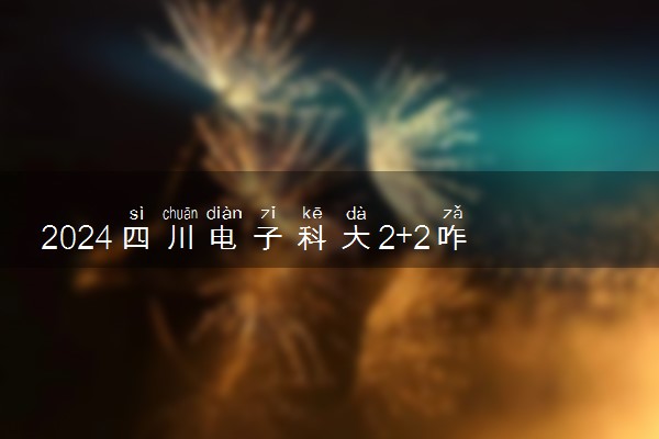 2024四川电子科大2+2咋样 未来好就业吗